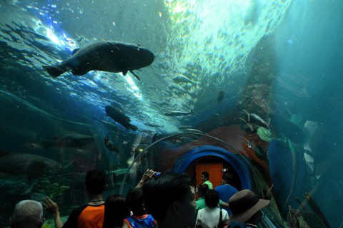 Rayong Aquarium