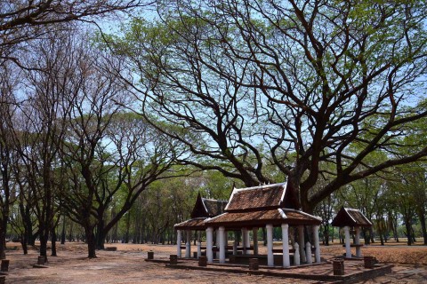 Sukhothai in a day