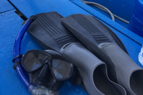 Diving and snorkelling