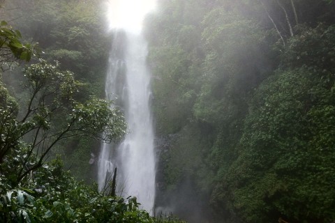 Waterfalls around Munduk