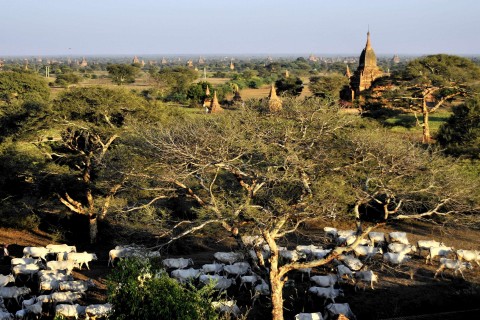 Old Bagan to New Bagan