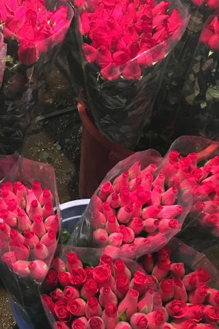 Quảng Bá Flower Market